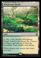 windsweptheath1