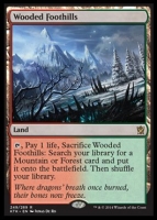 woodedfoothills1