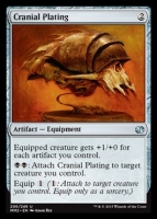 cranialplating.jpg