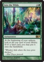 into-the-wilds-m14-spoilers-216x302